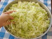 Lakto Fermente Lahana Turşusu