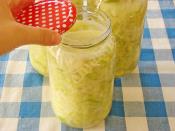 Lakto Fermente Lahana Turşusu