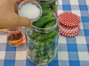 Limon Tuzsuz Kornişon Turşu