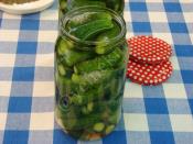 Limon Tuzsuz Kornişon Turşu