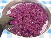 Mediterranean Pickled Red Cabbage Recipe