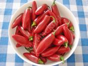 Peynirli Biber Turşusu