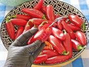 Peynirli Biber Turşusu