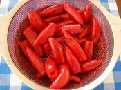 Peynirli Biber Turşusu