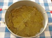 Zeytinyağlı Yaprak Sarma