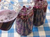 Susuz Mor Lahana Turşusu