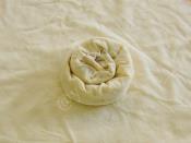 Kıymalı Gül Böreği