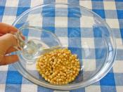 Mikrodalgada Mısır Patlatma