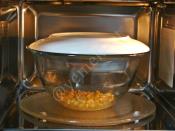 Mikrodalgada Mısır Patlatma