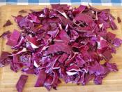 Probiyotik Lahana Turşusu