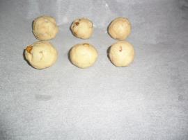 Damla Çikolatalı Cevizli Kurabiye