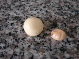 Fındık Dolgulu Misket Kurabiye