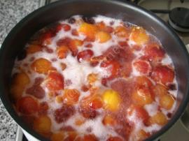 Kırmızı Erik Suyu