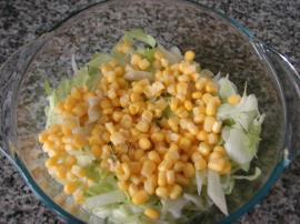 Göbekli Tavuk Salatası (Dukan Usulü)