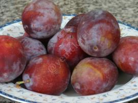 Mürdüm Eriği Suyu