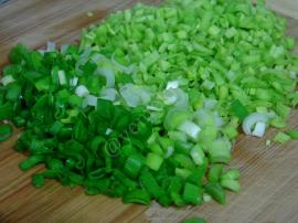 Çıtır Çin Mantısı