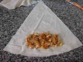 Tavuklu Çin Böreği