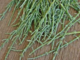 Deniz Börülcesi Salatası