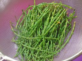 Deniz Börülcesi Salatası