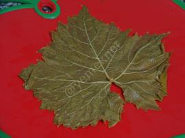 Zeytinyağlı Yaprak Sarması