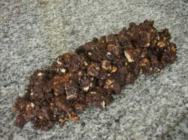 Bitter Mini Mozaik Pasta