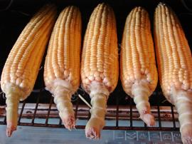 Fırında Közlenmiş Mısır