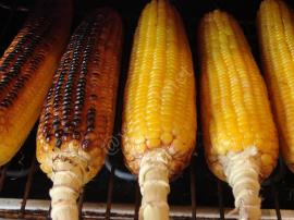 Fırında Közlenmiş Mısır