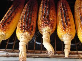 Fırında Közlenmiş Mısır