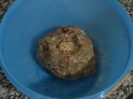 Misket Köfteli Sebze Yemeği