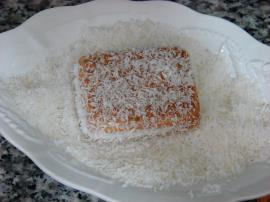 Burçak Bisküvili Tatlı