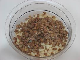 Mercimekli Makarna Salatası