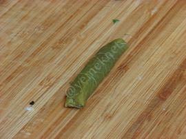 Kırmızı Mercimekli Yaprak Sarması