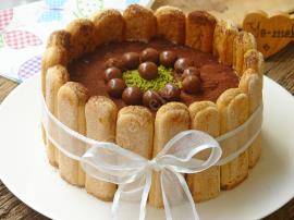 Kedi Dilli Tiramisu Pasta