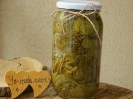 Asma Yaprağı Salamurası