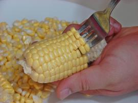 Taze Süt Mısır Ayıklama