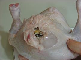 İç Pilavlı Tavuk Dolması