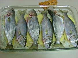 Fırında Patatesli Çinekop Buğulama