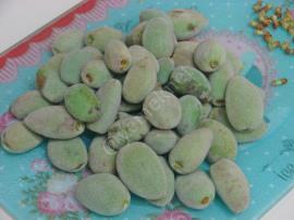 Yoğurtlu Çağla Mezesi