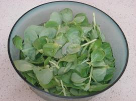 Yoğurtlu Semizotu Yatağında Bulgur Köftesi