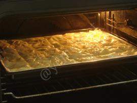 Yalancı Su Böreği