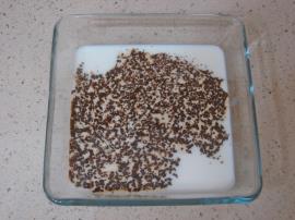 Bisküvili Yalancı Tiramisu