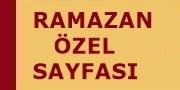 2017 Ramazan Özel