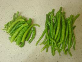 Yağlı Kıl Biber Turşusu