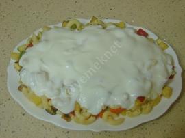 Sebzeli Makarna Salatası