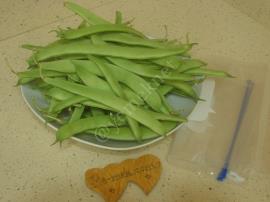 Şoklama Yöntemiyle Taze Fasulye Saklama