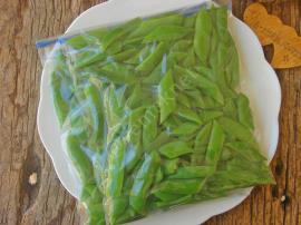 Şoklama Yöntemiyle Taze Fasulye Saklama