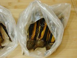 Dondurucuda Karnıyarık Saklama