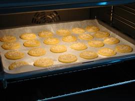 Katı Yağsız Tuzlu Kurabiye