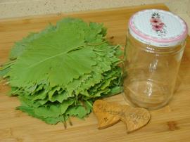 Kurudan Asma Yaprağı