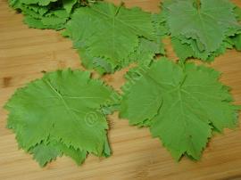 Kurudan Asma Yaprağı